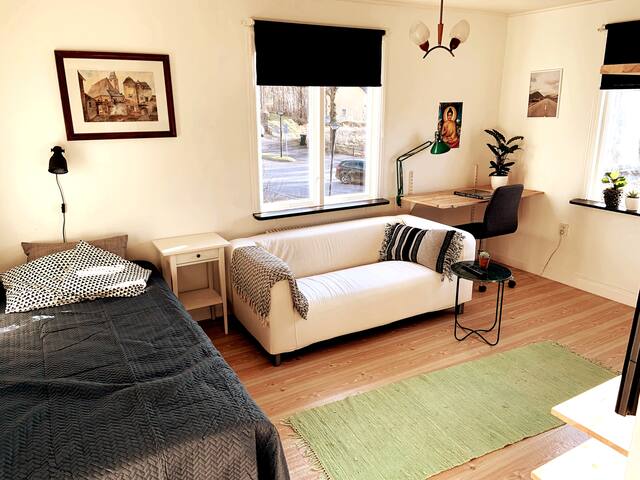 Charming studio apartment walking distance to city