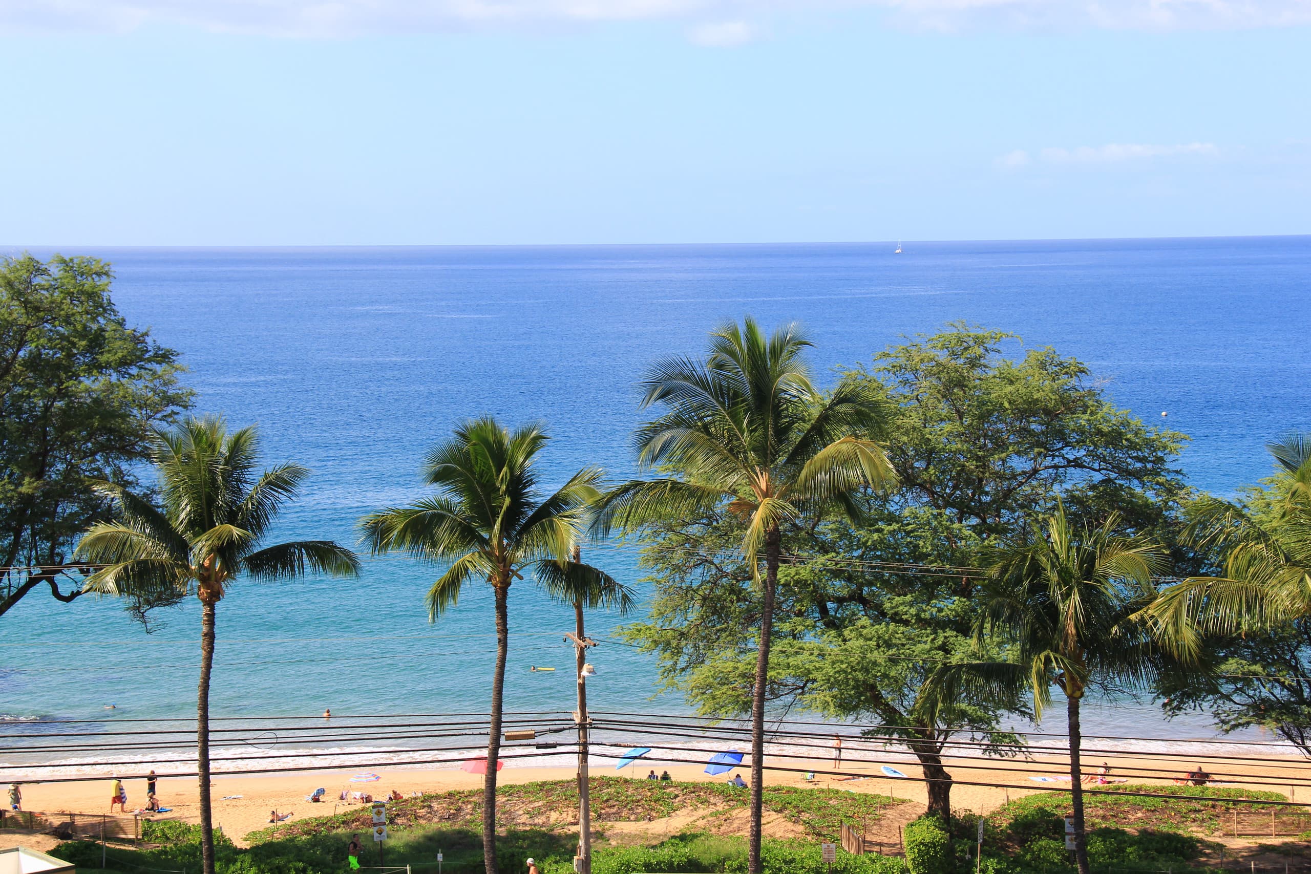 Condo in Kihei · ★4.98 · 1 bedroom · 2 beds · 1 bath - Image 18