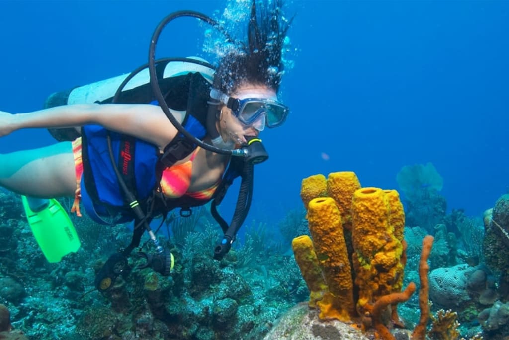 SCUBA diving in Weligama