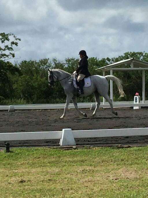 Dressage,animalrescue,specialneeds therapy some of the things we love doing at Jahworks