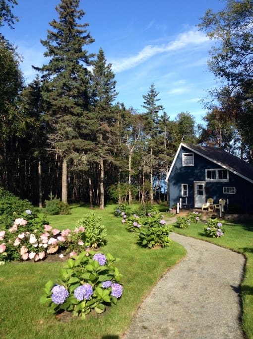 Idyllic seaside setting for your stay in our cozy cabin.