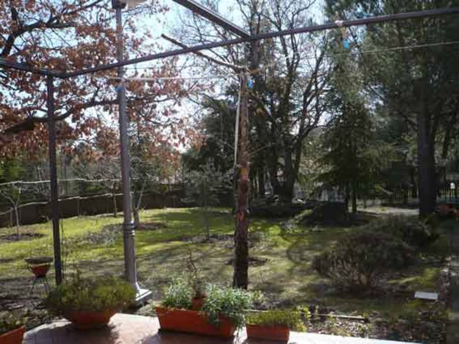 il giardino