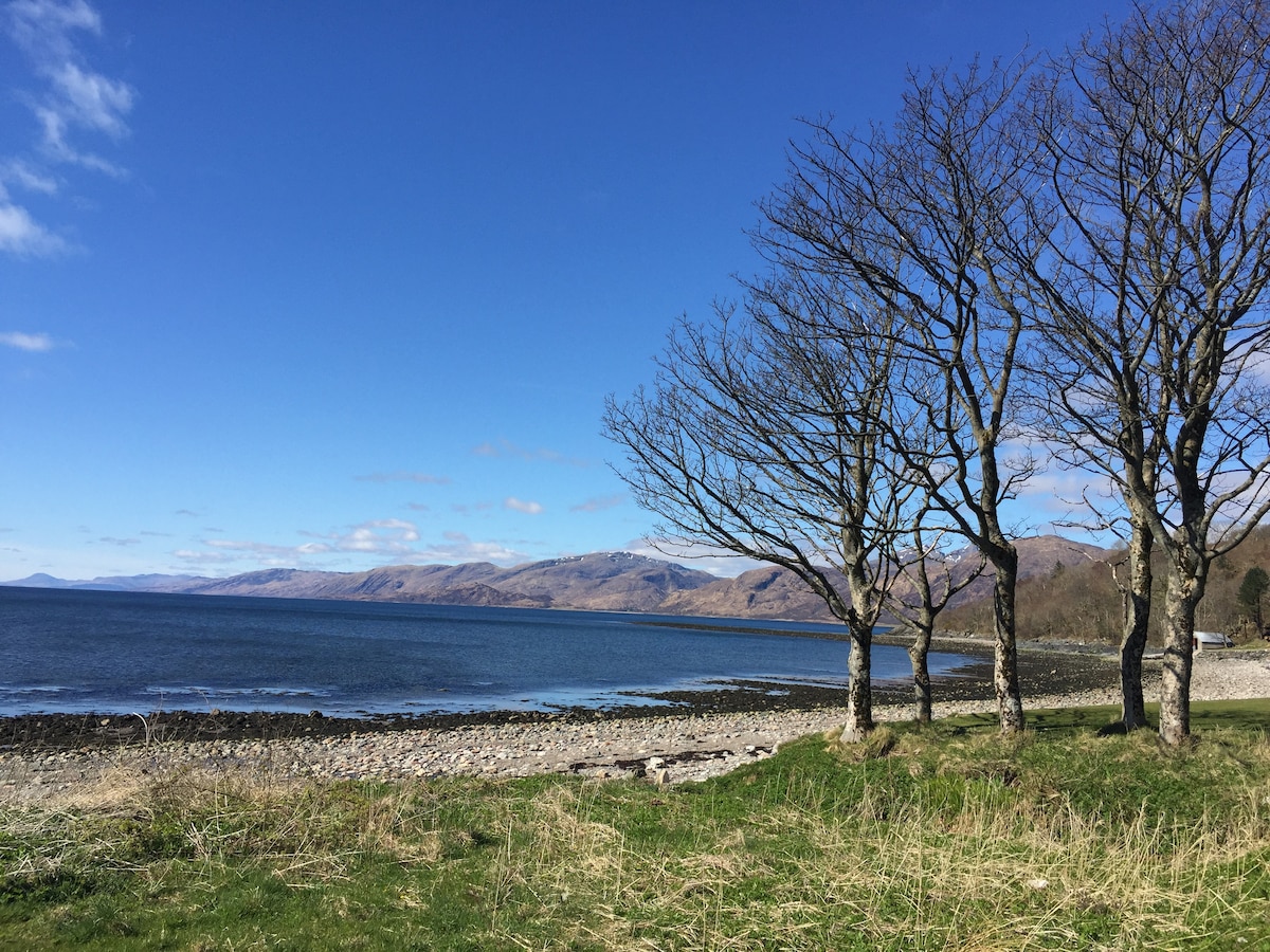 Bare trees stand near a rocky beach, with grass extending towards the shoreline. The calm waters of Loch Linnhe reflect the clear blue sky, while distant hills are visible along the horizon, creating a peaceful coastal landscape.