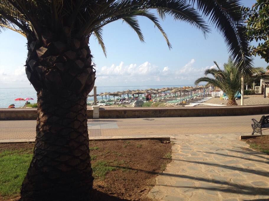 Playa