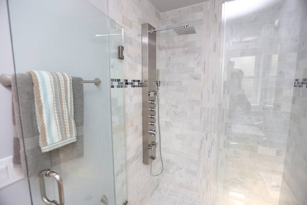 Master Shower with rainfall head and lots of nozzles!