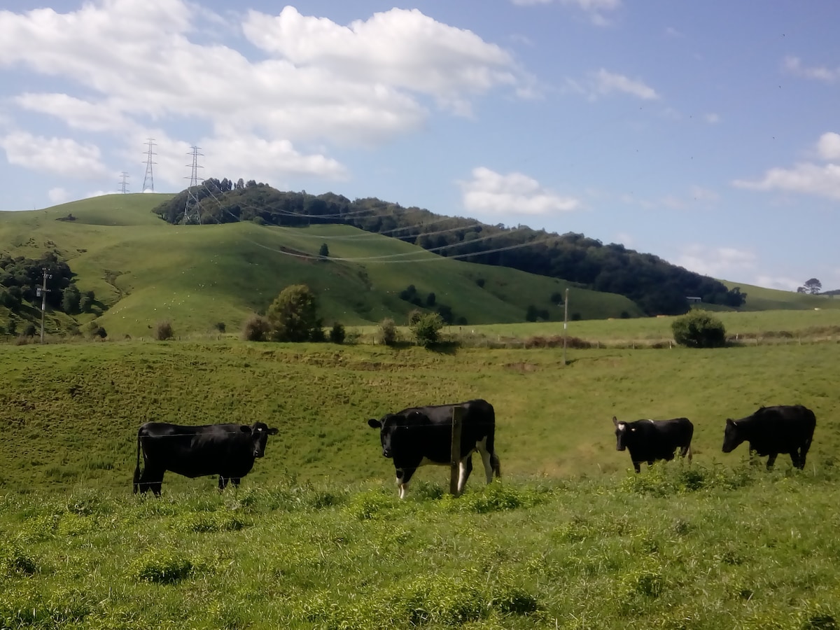 A serene landscape is shown with a group of black cows grazing on lush green grass. Rolling hills rise in the background, dotted with trees and utility poles, under a partly cloudy blue sky.