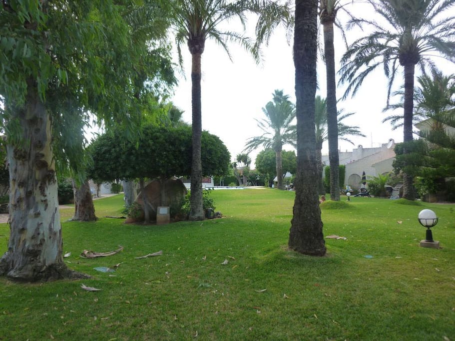 Amplio jardín.