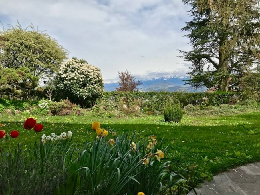 Accès rez-de-jardin