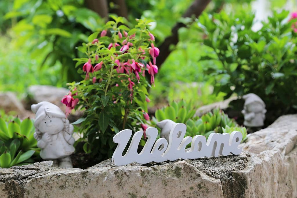 Dear Guests, WELCOME!