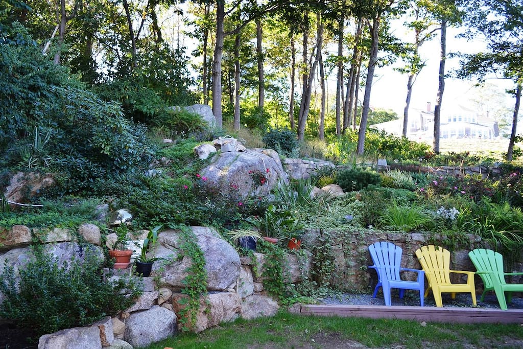 Little Red House-Backyard garden in bloom.