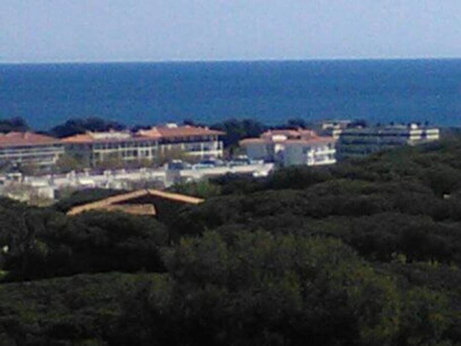 vue de la terrasse