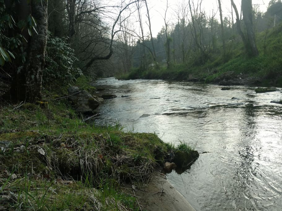 At the Creek