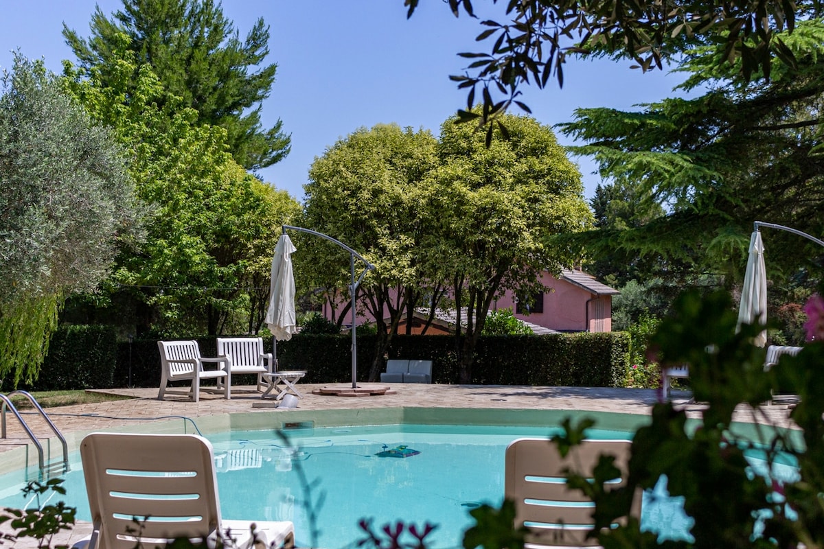 A clear swimming pool is visible, surrounded by lush greenery and tall trees. Several white lounge chairs are positioned nearby, along with two large umbrellas providing shade. A serene environment is highlighted by the natural setting in the background.