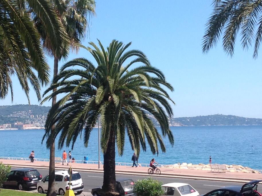 vue depuis le balcon