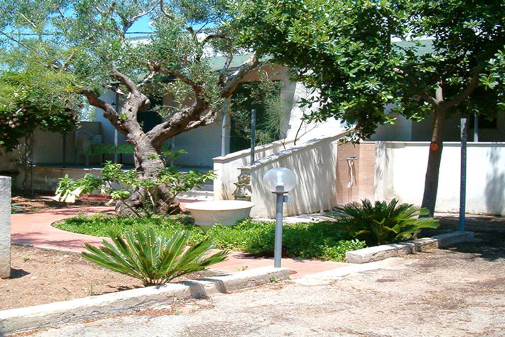 Giardino antistante abitazione