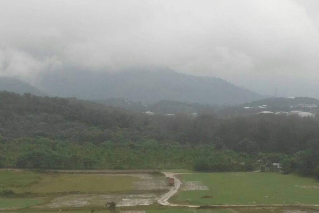hill view