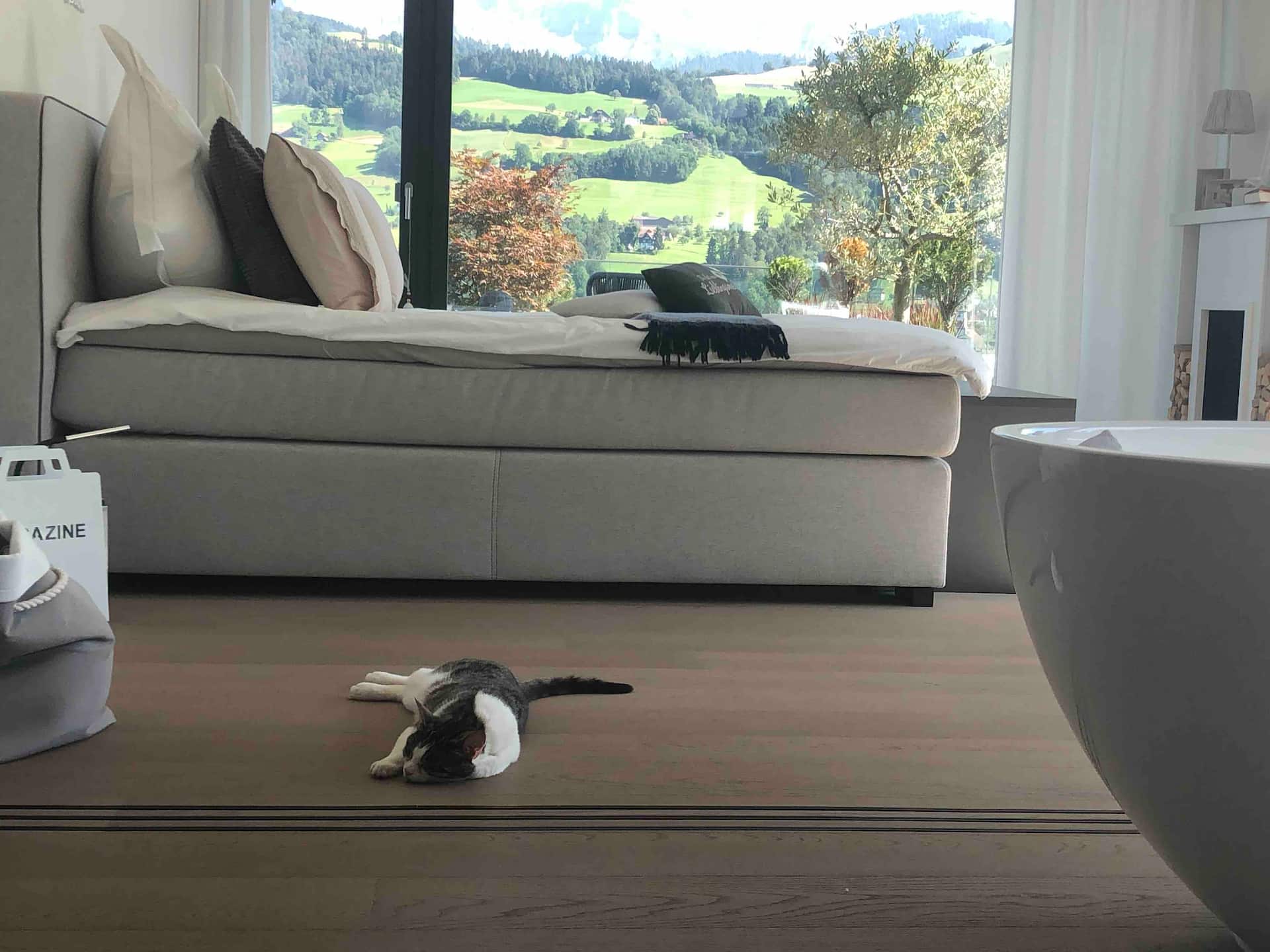 Lucerne near the city - 180 m² luxurious apartment in the countryside
