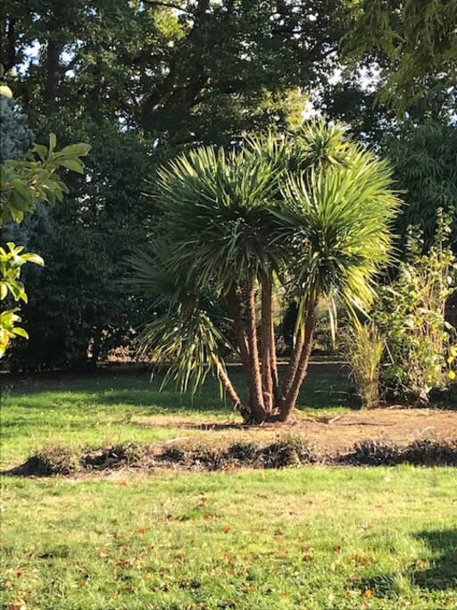 Jardin
