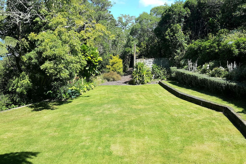 Our garden