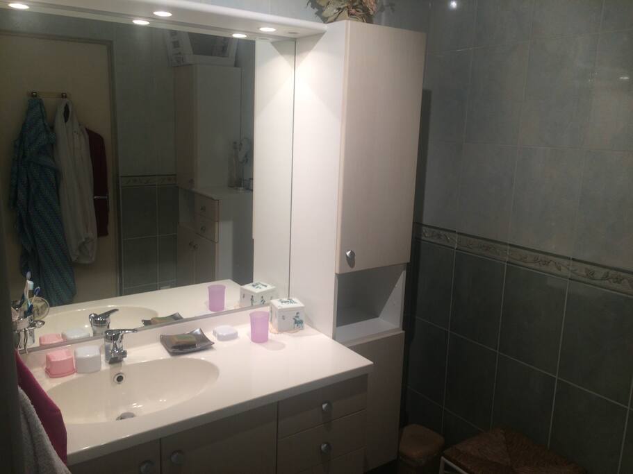 salle de bain pour les voyageurs