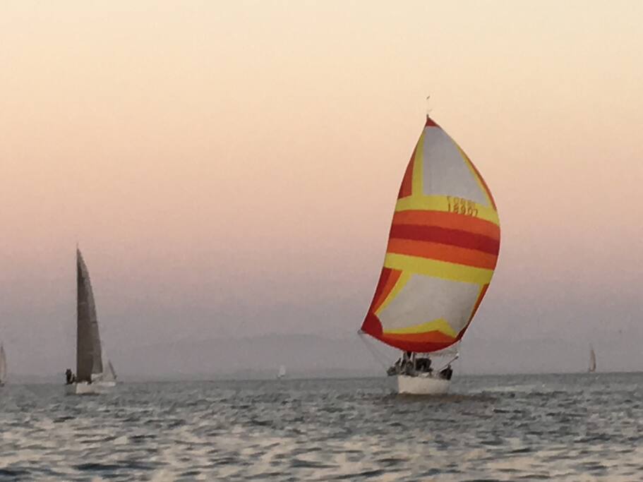 Wednesday night racing. We have a sail boat if you want to join us..