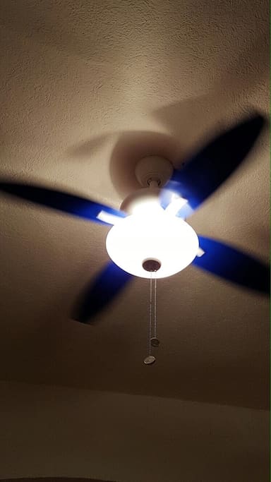Ceiling fans