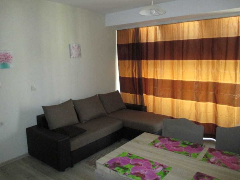 Sitting room with foldout sofa and kitchen corner, climate control. Зал с раскладывающимся угловым диваном и кухонным уголком. Кондиционер.