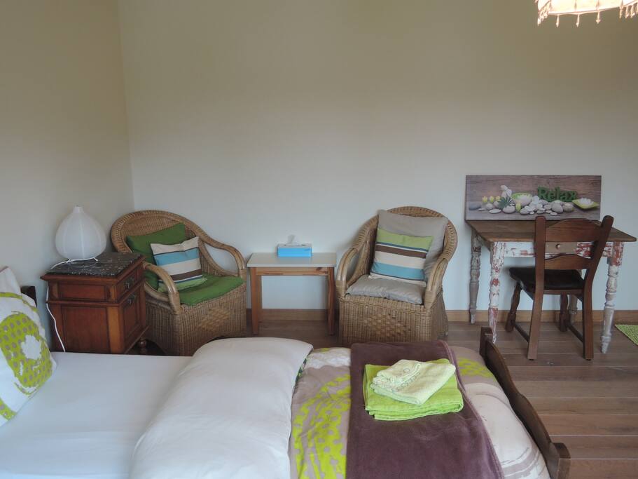 Room "earth" with two single beds