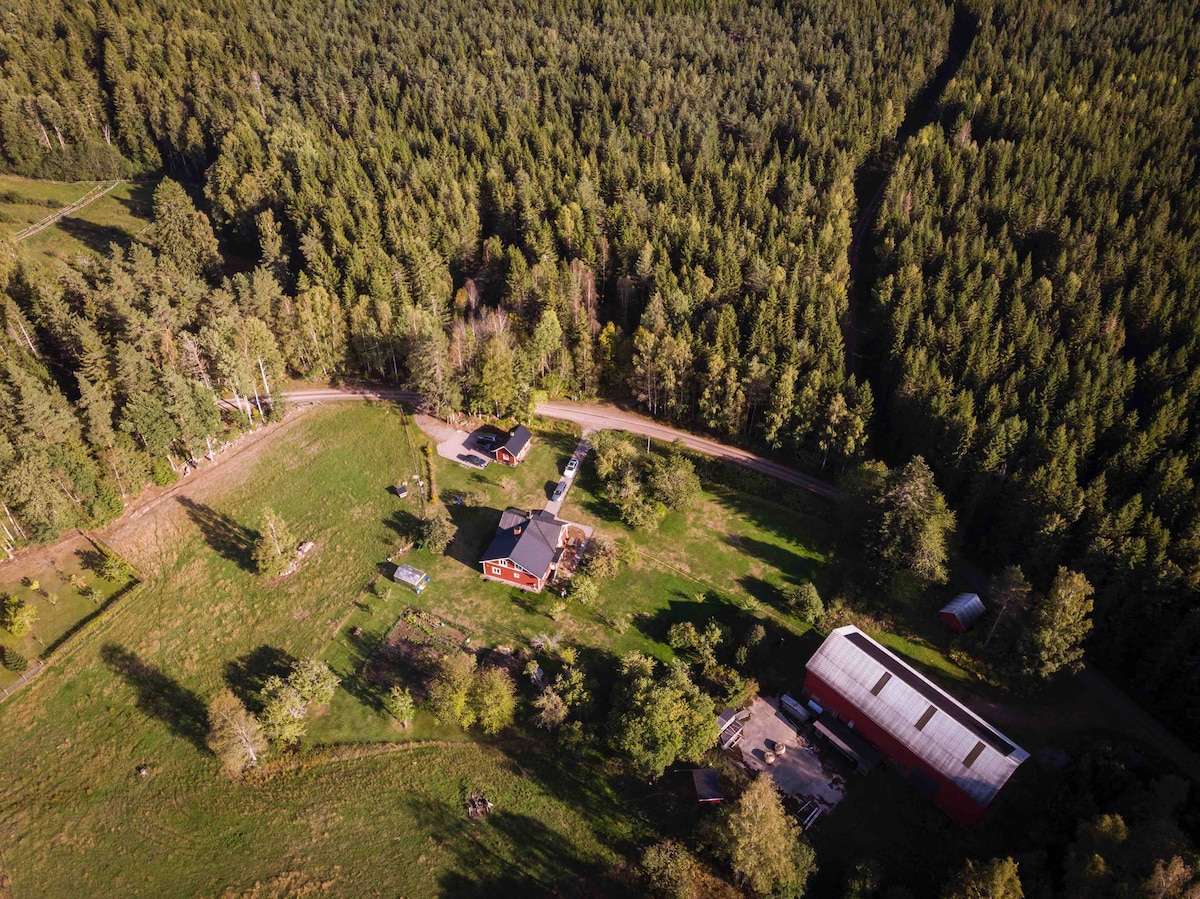 An aerial view captures the countryside setting, featuring a red house surrounded by a lush green lawn. Several trees create a natural boundary, while small roads meander through the dense forest. Nearby structures include an outbuilding and a parking area.