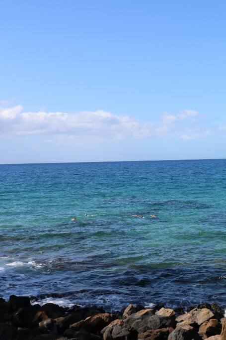 Snorkel right off of the beach!