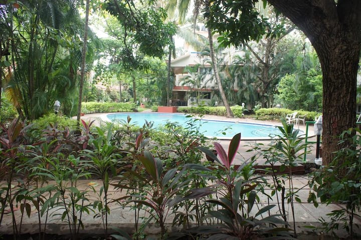 Heaven On Earth At Vagator Fully Furnished Flats For Rent In Vagator Goa India