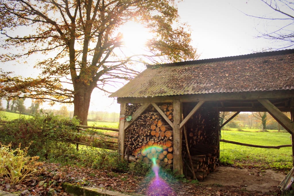 Le Moulin Fields