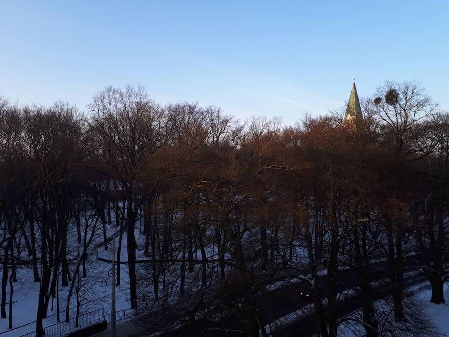 вид на парк королевы Луизы