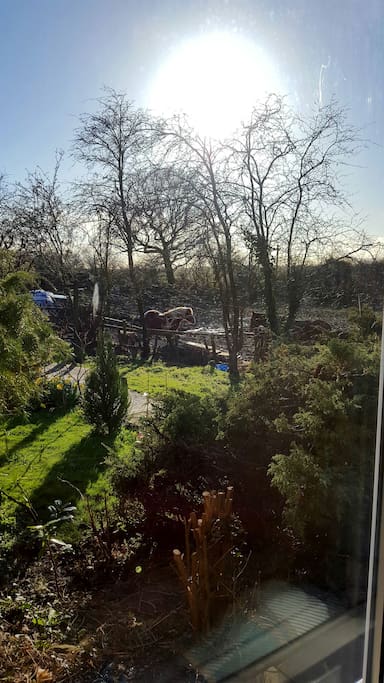 Beautiful view from our downstairs window.