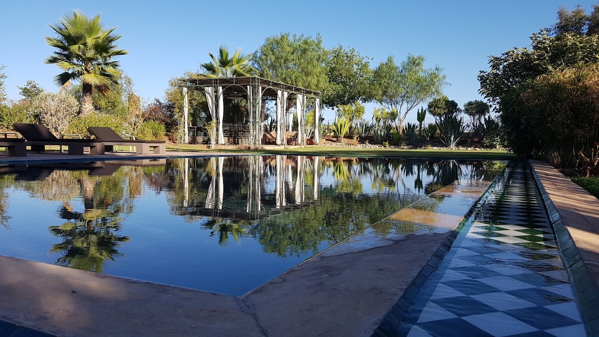 A tranquil view of a reflective swimming pool surrounded by lush greenery and palm trees. A shaded pergola is visible in the background, complemented by seating areas. The serene environment is enhanced by the bright blue sky and the vibrant colors of the garden.