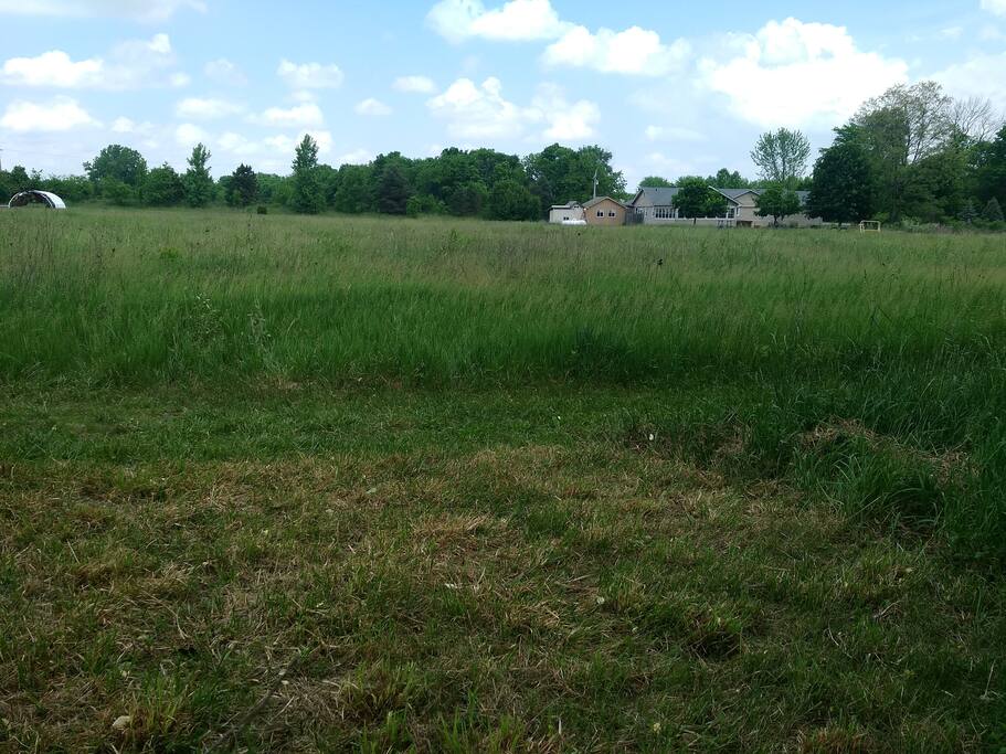 Looking north towards 38