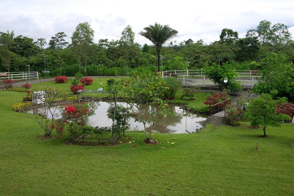 Laguna natural