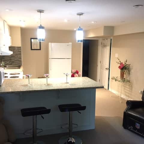 Clean and Cozy one bedroom apartment in great area