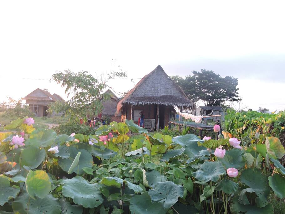 Private Bungalow