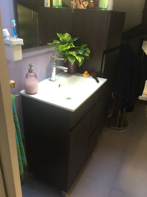 Baño abohardillado( techos bajos)