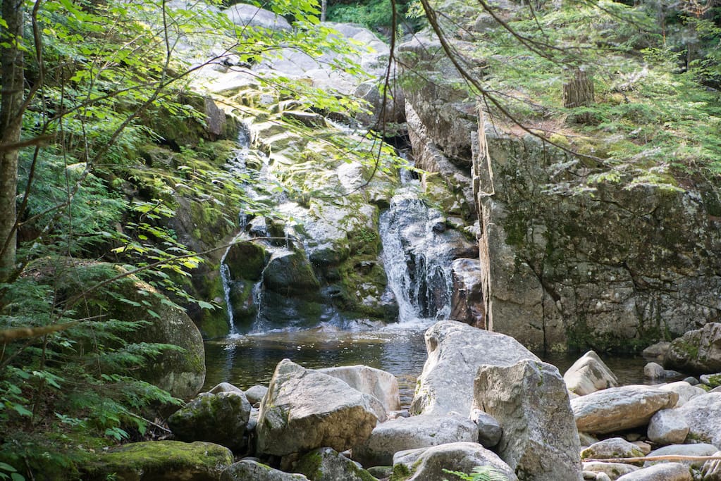 Swimming hole walkable from tipi.