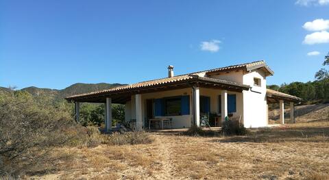 The Yellow House  IUN S4252 Cin IT111021C2000S4252