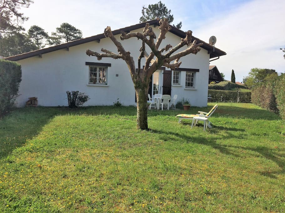 un jardin au calme derrière la maison