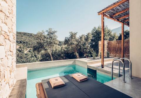 Senior Retreat with private pool & olive farm view