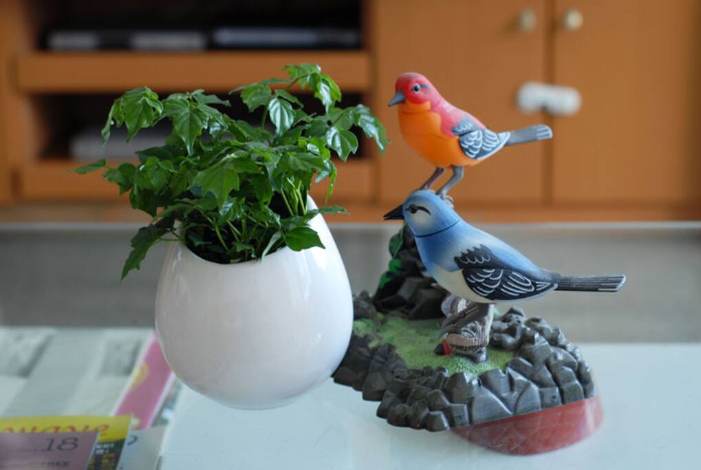 客厅一角
Details of living room