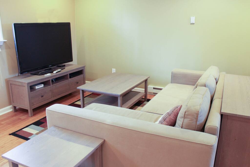 Couch that pulls out into a sofa-bed
