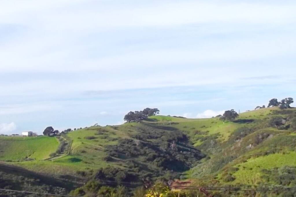 To the east, watch the sun rise over this valley and grazing paddock, laze in bed and enjoy the peace of this view with the sound of the birds.