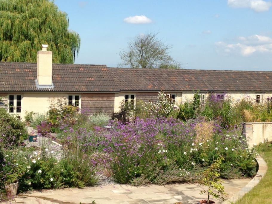 Herb Courtyard in high summer - a nectar factory for the honey bees that live on the farm.