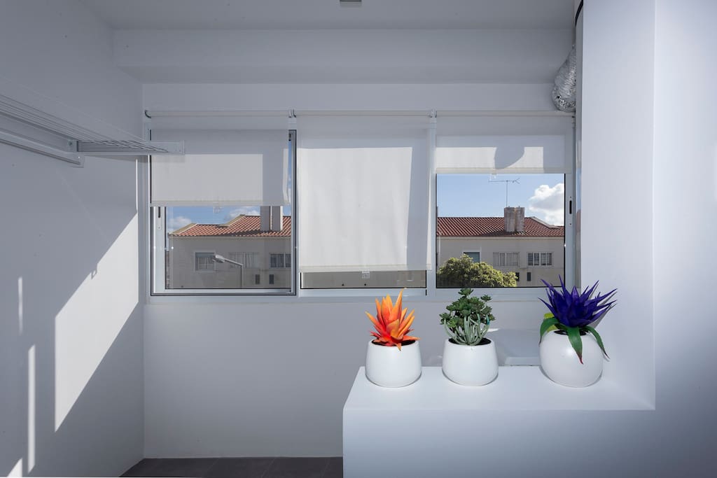 Kitchen window