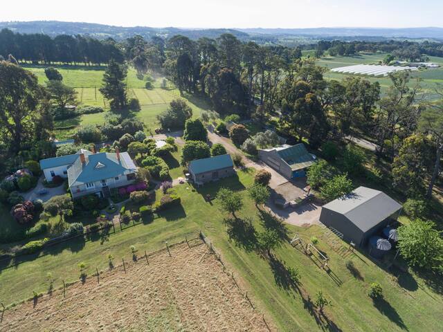 Yarra Valley Strawberry Farms gallery image 2